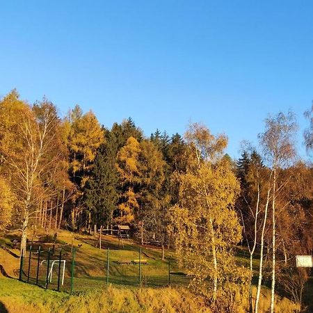 Feriendomizil Am Hochwald Apartment Dippoldiswalde Bagian luar foto